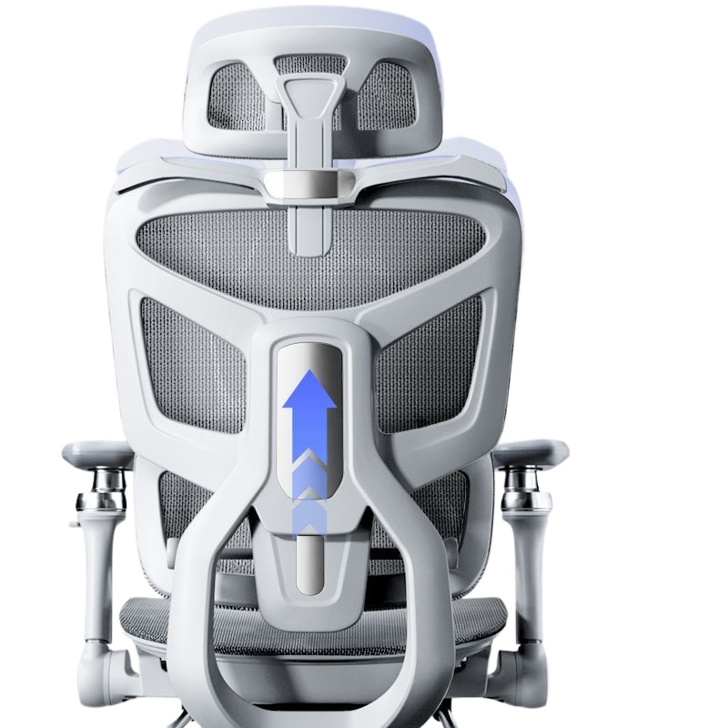 Ergonomic Office Chair for Com - Ergonomic Office Chair ulasan dan harga